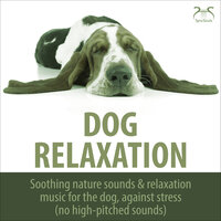Relaxation for Dogs - Dishwasher Sound & Soft Piano Sounds, Come to Rest, No High Frequencies Above 16 Khz. - Dog Music TA & Torsten Abrolat & Pet Lover TA