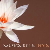 Canciones para Sanar el Alma - Música De La India