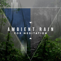 Biblical Rain - Ambient Forest, Rain Sounds ACE, Elements of Nature & Ambient Forest & Rain Sounds ACE & Elements of Nature