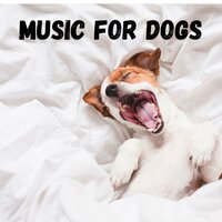 For Anxious Dogs - Music for Dogs & Music for Dogs Peace & Relaxing Puppy Music & Calm Pets Music Academy