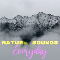 Flowing Waters of Tranquility - Lightning, Thunder and Rain Storm & Calming Rainforest Sounds & Sonido Del Bosque y Naturaleza