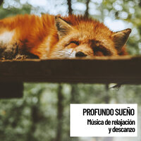 Relaxation Music - Música Instrumental Maestro & Musica relajante & Musica Para Dormir Bebes