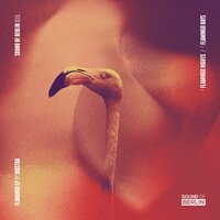 Flamingo Nights - Mastra