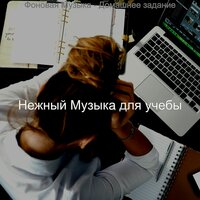 Впечатление (Домашнее задание) - Нежный Музыка для учебы