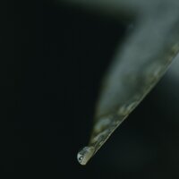 Nubes De Melodía - Canciones de Cuna 101 & Sonido de lluvia & Musica Para Relajarse