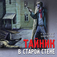 Валерий Шарапов. «Тайник в старой стене». Часть 33 - Илья Дементьев
