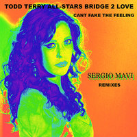Can't Fake the Feeling (Sergio Mavi Dub) - Todd Terry All Stars & Bridget Barkan