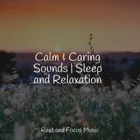 Drifting Dreams - Ambiente & Tibetan Singing Bowls for Relaxation & Sleep Sound Library