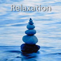 Eventails et foulards - Zen Spirit