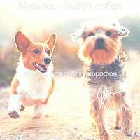 Моменты (Спящие собаки) - Музыка для собак виброфон