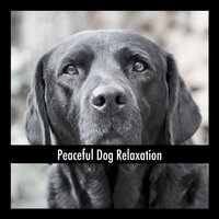 Puppy Stretch - Dog Chill Out Music