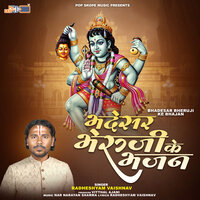 Dham Chalti Jor - Radheshyam Vaishnav