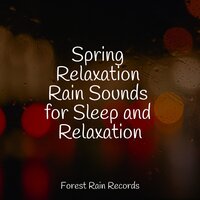 Birds Singing by a Waterfall - Guided Meditation Music Zone & Study Concentration & Zona Música Relaxante