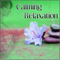 Relaxing Spa Sounds - Calm Music Masters