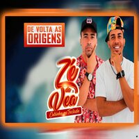 Só Socada - Zé da Vea