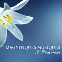 Berceuse en piano - Maison Detente