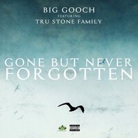 48 Bars - Big Gooch & Tru Stone Family