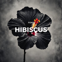 Hibiscus - PONO