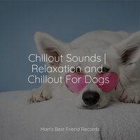 Warm Feelings Inside - Music for Calming Dogs & Dog Music & Relaxation Music For Dogs