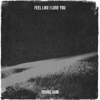 Feel Like I Love You - Young Sam