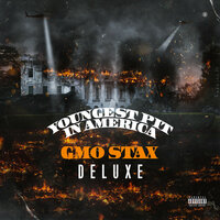 Freestyle - GMO Stax