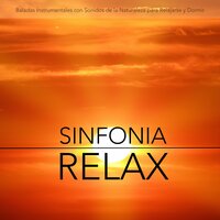 Olas para Dormir Profundamente - Ananda Calma