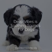 Spa Time - Dog Music Club & Calming Music for Dogs & Music for Dogs Peace