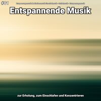 Entspannende Musik Teil 25 - Entspannungsmusik Meditationsmusik Einschlafmusik & Schlafmusik & Entspannungsmusik