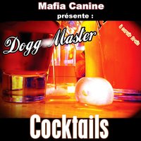 Intro - Dogg Master
