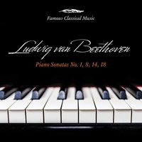 Piano Sonata No. 1 in F Minor, Op. 2 No. 1: IV. Prestissimo - Gerhard Oppitz & Ludwig van Beethoven