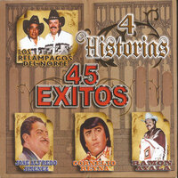 Tu Lo Escogiste - Ramón Ayala