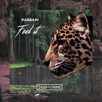 Feel it - PARSAPi