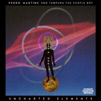 Seismic Activity - Pedro Martins & Tempura the Purple Boy
