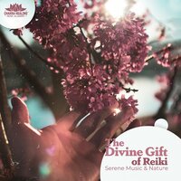 The Practice of Forgiveness - Chakra Healing Music Academy