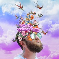 פסטיבלים - OBD