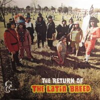 No Se Que Pasa Conmigo - Latin Breed