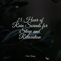 Raindrop Shower - Deep Sleep Music Experience & Healing Sounds for Deep Sleep and Relaxation & Tinnitus