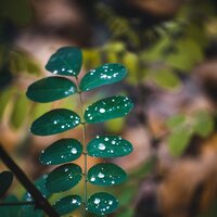 Memoria Nocturna Del Océano - Música ambiental relajante & Musica Para Meditar & Música para Dormir Con Relajantes Sonidos de la Naturaleza