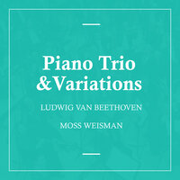 Piano Trio No. 3 in C Minor, Op. 1: IV. Finale (Prestissimo) - l'Orchestra Filarmonica di Moss Weisman & Ludwig van Beethoven