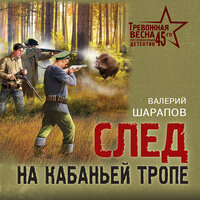 Валерий Шарапов. «След на кабаньей тропе». Часть 22 - Евгений Лебедев