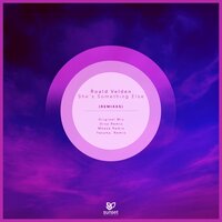 She's Something Else - Roald Velden & Mbase