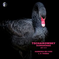 Schwanensee, Act II, Danse de cygnes : II. Moderato assai - L. H. Thomas & Harmonia dei fiori