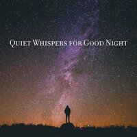 Surreal - Sleep Cycles Music Collective