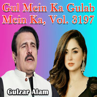 Gul Mein Ka - Gulzar Alam