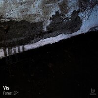 Surface Noise - Vis