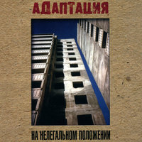 Панки, хой! - Адаптация