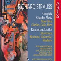 Trio No. 2 für Klavier, Violine und Violoncello in D Major, Op. AV 53: I. Allegro moderato - Wolfgang Sawallisch & Sebastian Hess & Anna Kandinskaia & Рихард Штраус
