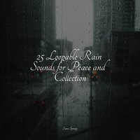Pouring Rains - Relaxation Personal Guru & ReGen & Lullaby Rain