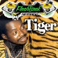 Rain from the Sky - Tiger & Anthony Malvo