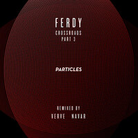 Why - Ferdy & VERVE